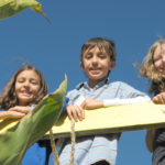 Atop the MAiZE Bridge in The MAiZE