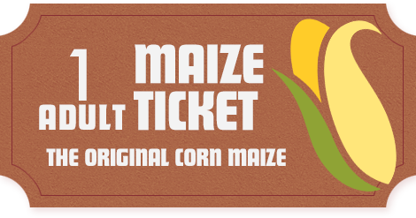 Maze adult ticket