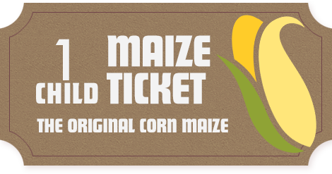 Maze child ticket