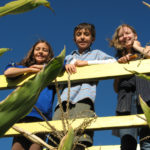 Atop the MAiZE Bridge in The MAiZE