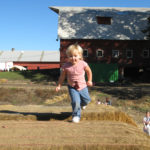 Giant Hay Pyramid 1