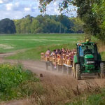 Tractor Rides