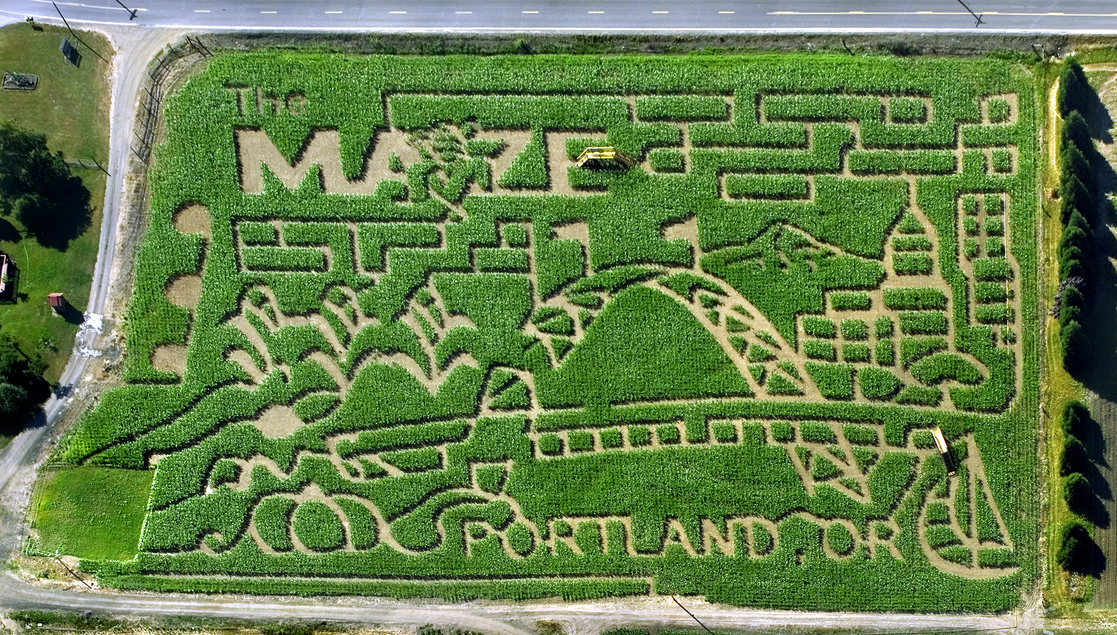 2008 MAiZE