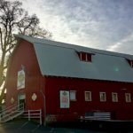 Animal Barn evening