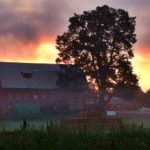 Evening barn